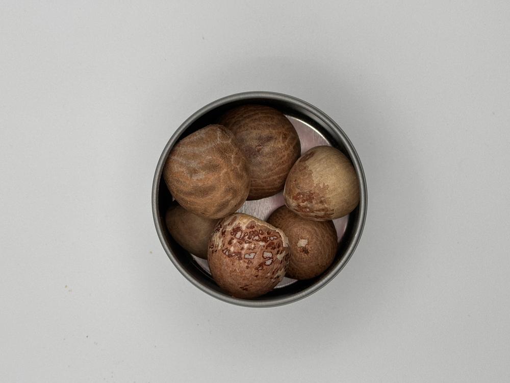 Betel Nut