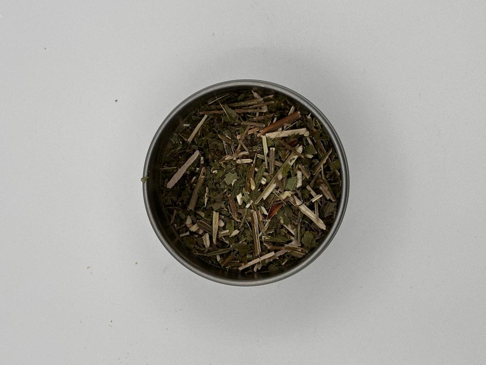 Blue Vervain