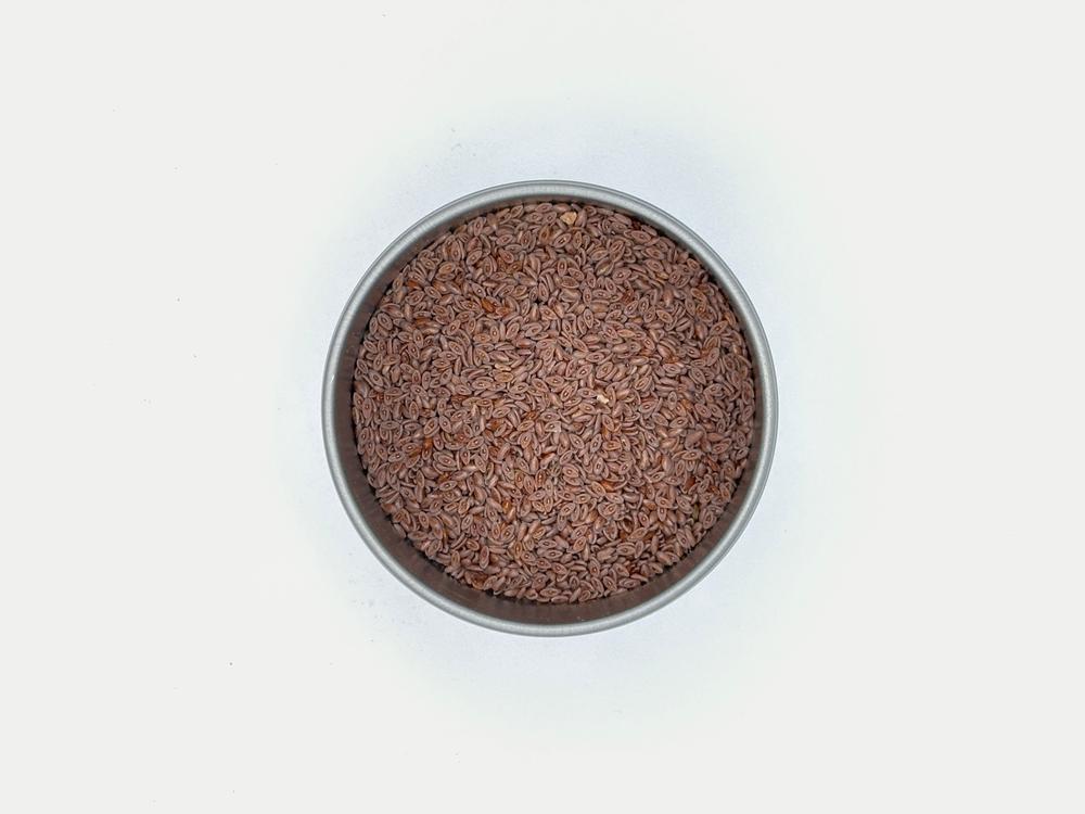 Psyllium Seed