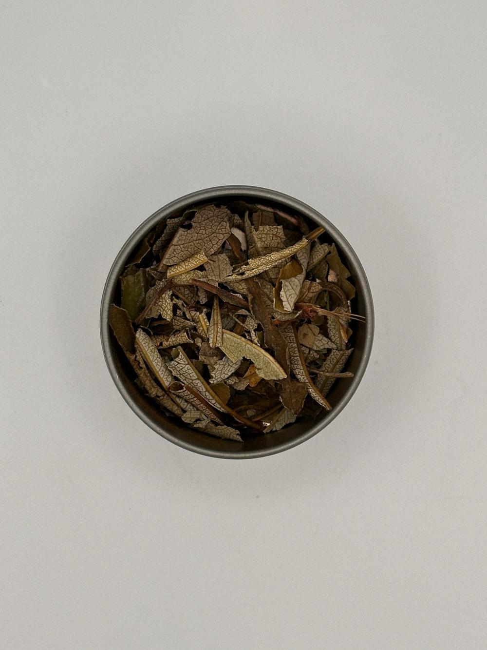 Yerba Santa Leaf
