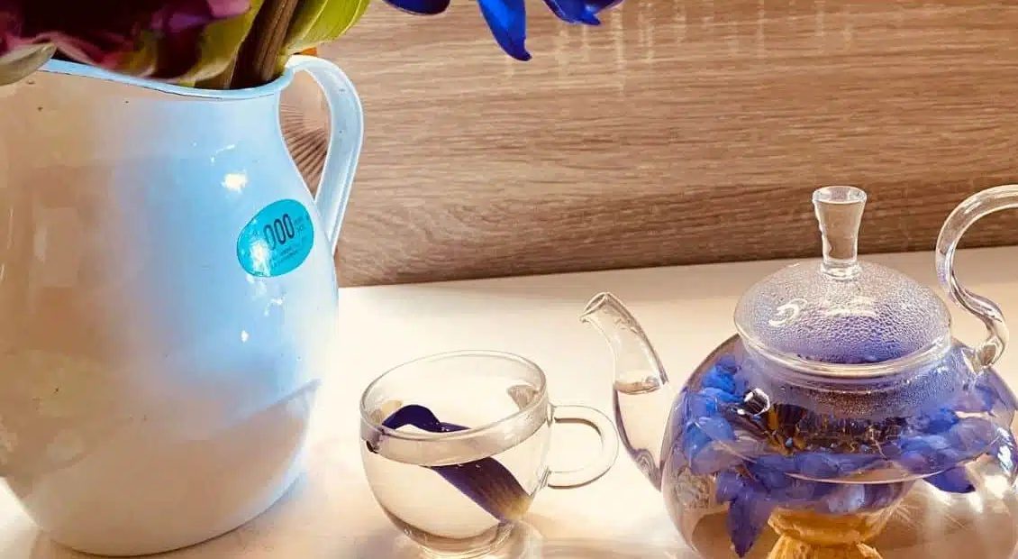 Dried blue lotus petals steeping in a glass teapot