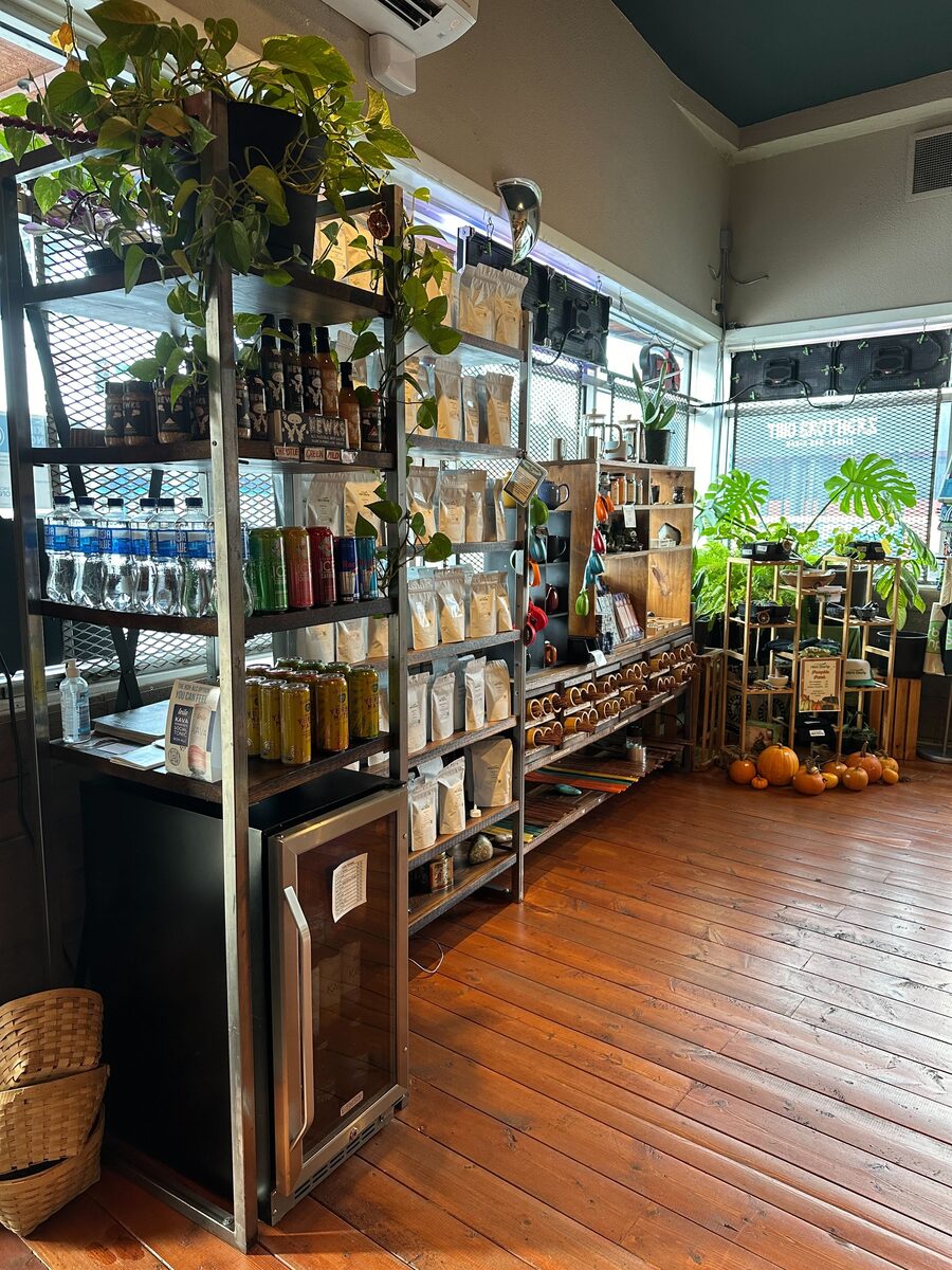Herb Stomp interior — wood shelves of tinctures and packaged botanicals with hanging plants and warm window light