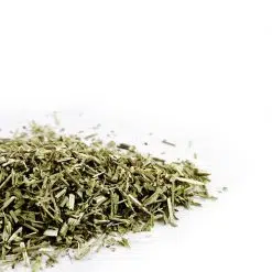 Blue Vervain
