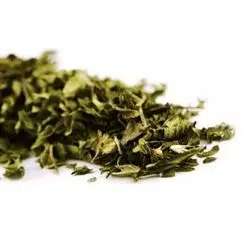 Catnip