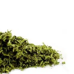 Damiana Leaf