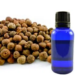 allspice oil
