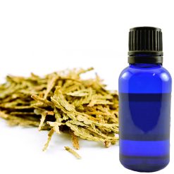 Thuja Essential Oil