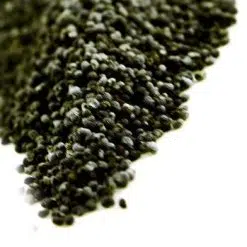 Poppy Seeds