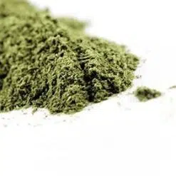 Skullcap Powder