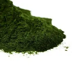 Spirulina