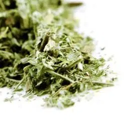 Wormwood
