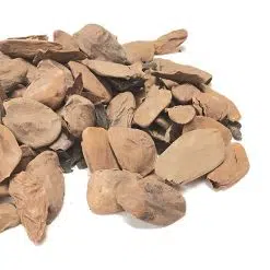 Akuamma Seeds
