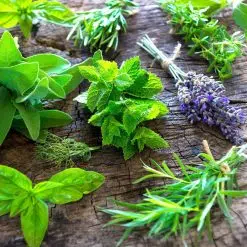 Herbs and Spices