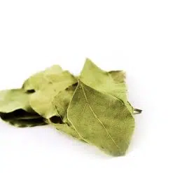 Bay Leaves