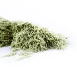 Brahmi