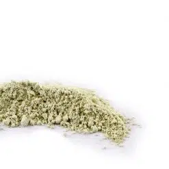 Coriander