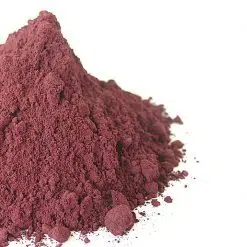 Elderberry Powder