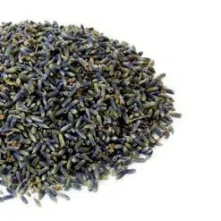 Lavender Flowers