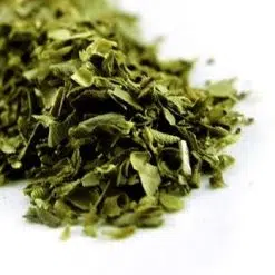 Oregano