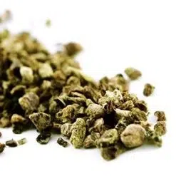 Rhodiola