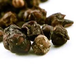 schizandra
