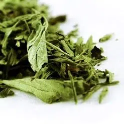 stevia leaf
