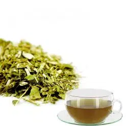 Yerba Mate Organic