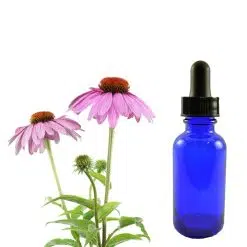 Echinacea Tincture