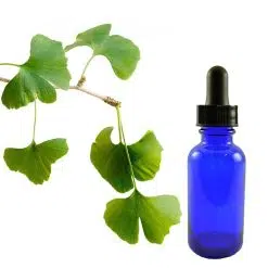 Ginkgo Tincture