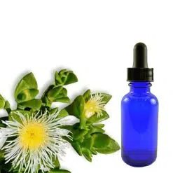 Kanna Tincture