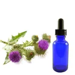 Milk Thistle Tincture