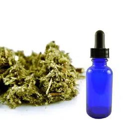 Tincture Mugwort