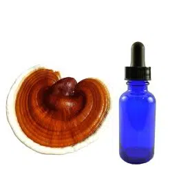 Reishi Mushroom Tincture