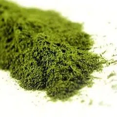 Wheatgrass Powder
