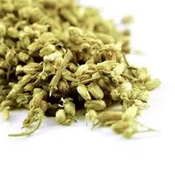 Yarrow
