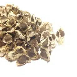 Moringa Seeds