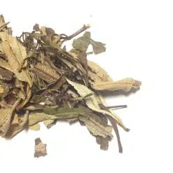 Yerba Santa Leaf